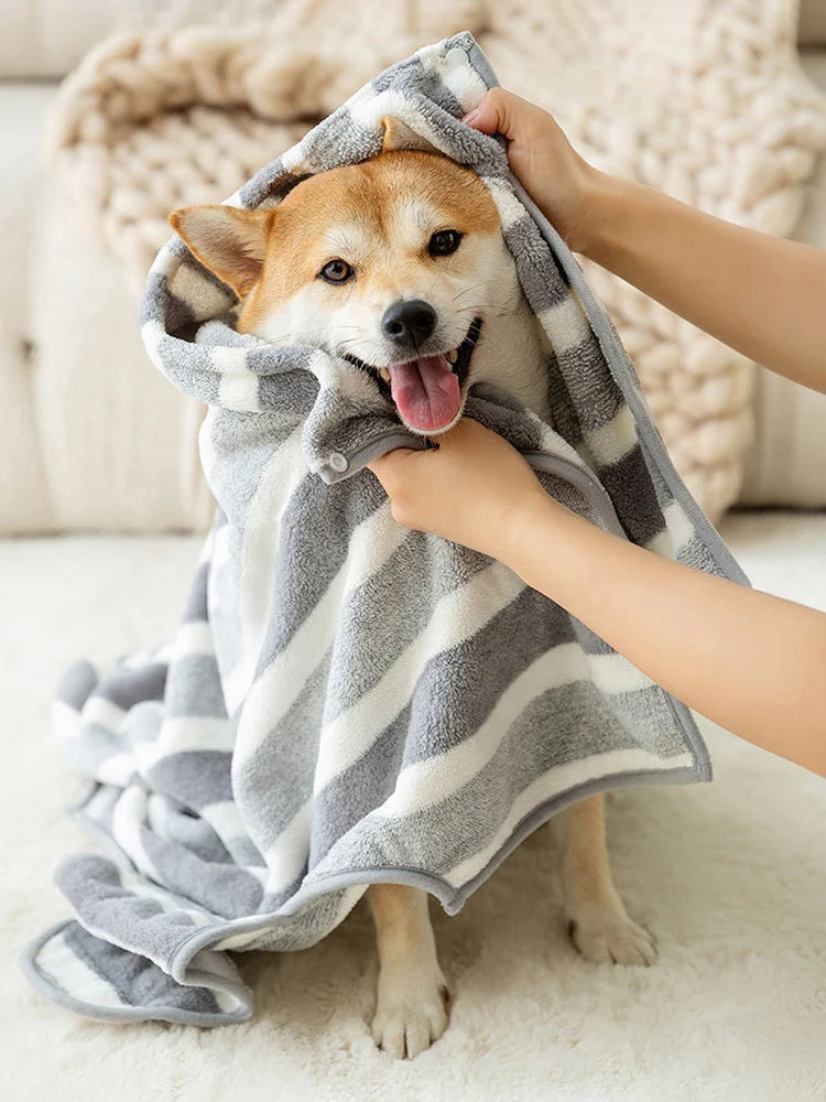 Dog wrapped in a striped towel being held by a person in a cozy indoor setting