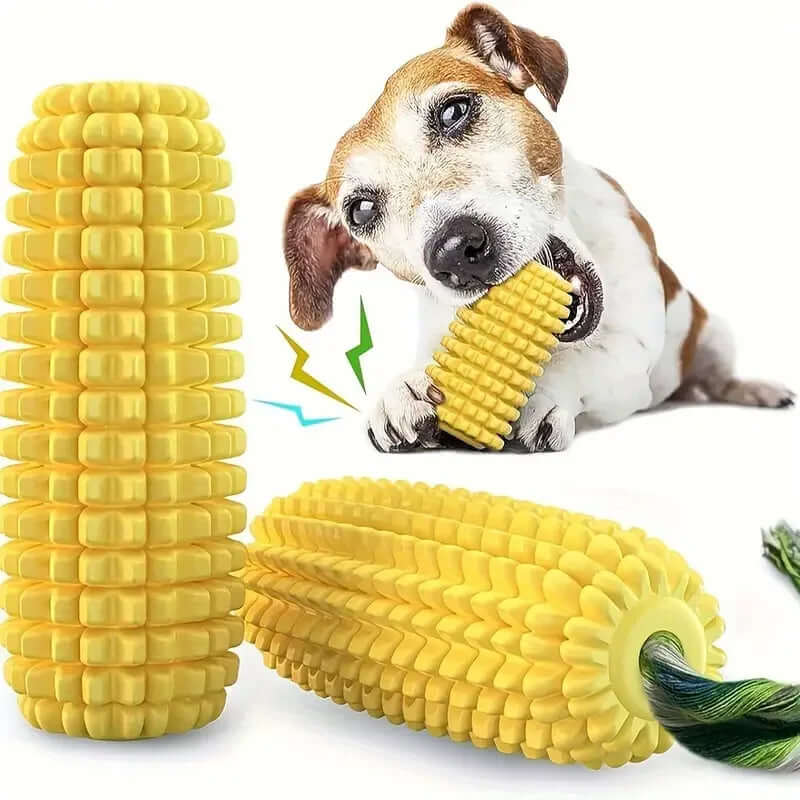 Dog playing with a corn-shaped chew toy on a white background