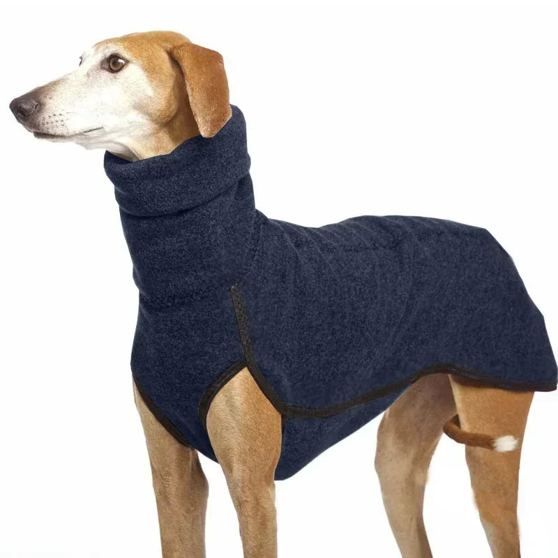 Dog wearing a blue coat on a white background