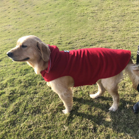 Dog wearing a red coat standing on grass