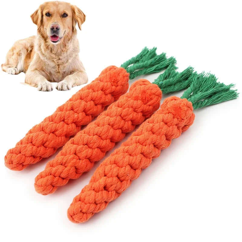 Dog toy shaped like carrots with green tops, next to a dog on a white background