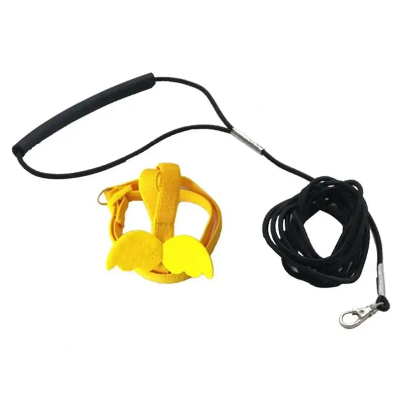 Yellow dog muzzle with black leash on a white background
