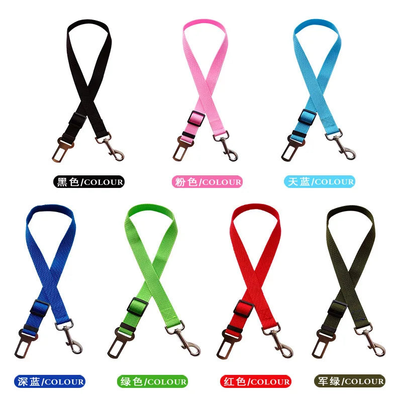 Set of colorful lanyards in various colors on a white background