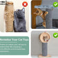 Collage of cats interacting with cat toys, with text on revitalizing cat toys.