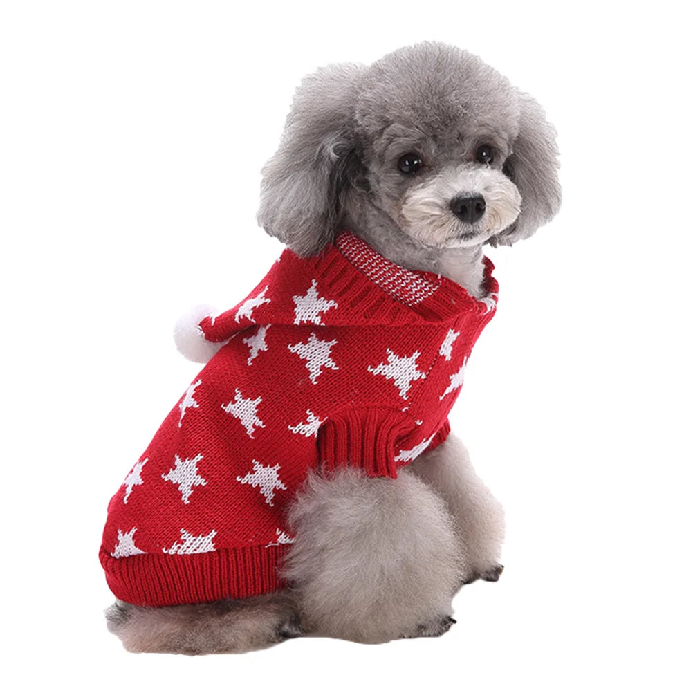 Small dog wearing a red sweater with white star patterns on a white background