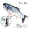 Fish-shaped toy with USB cable labeled 'Grass Carp' on a white background