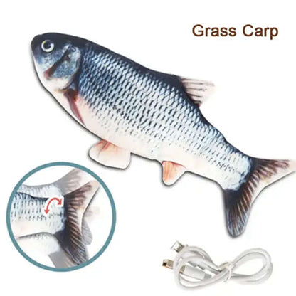 Fish-shaped toy with USB cable labeled 'Grass Carp' on a white background