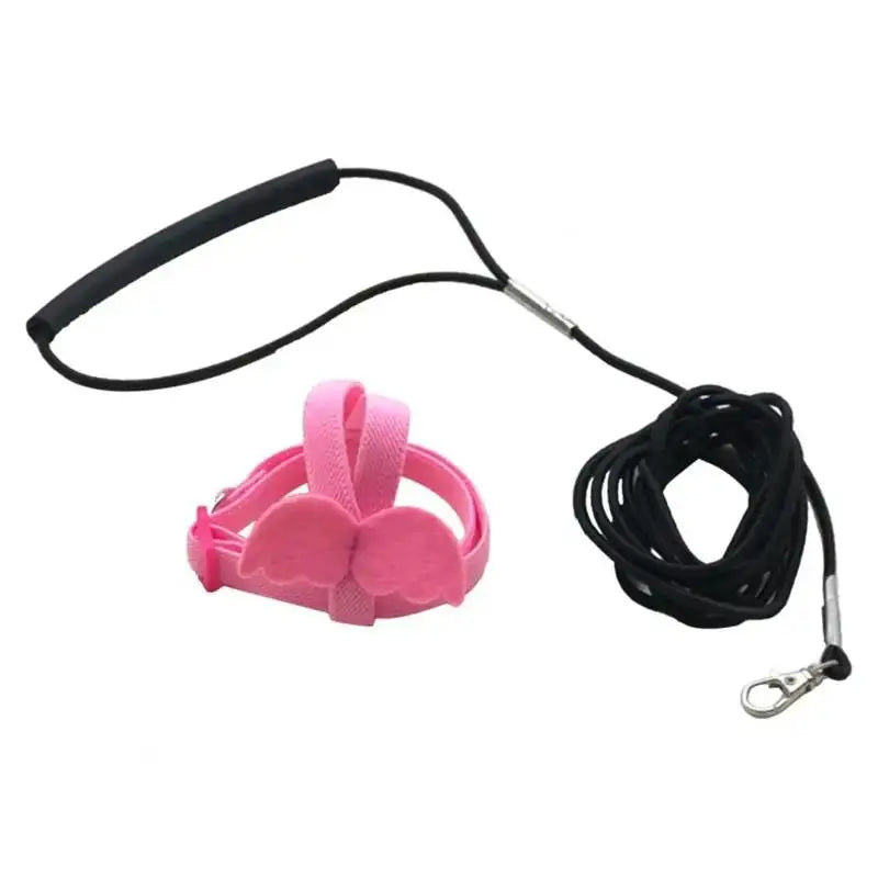 Pink dog leash with handle and coiled black leash on a white background
