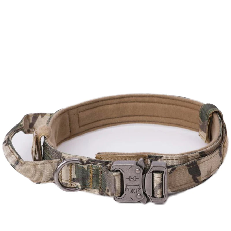 Camouflage dog collar with a metal buckle on a white background