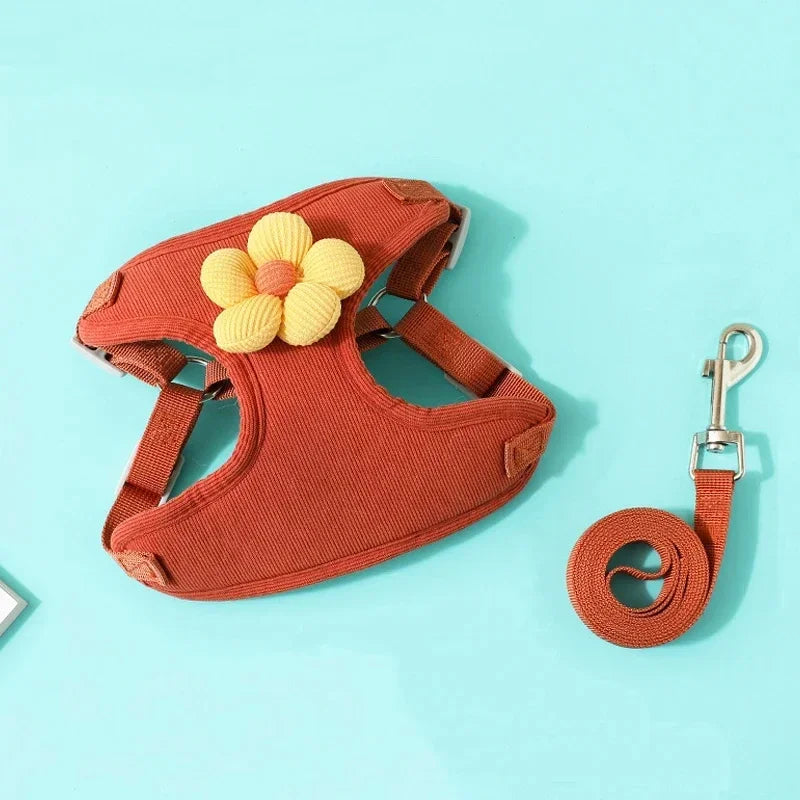 Orange dog harness with a yellow flower and matching leash on a light blue background