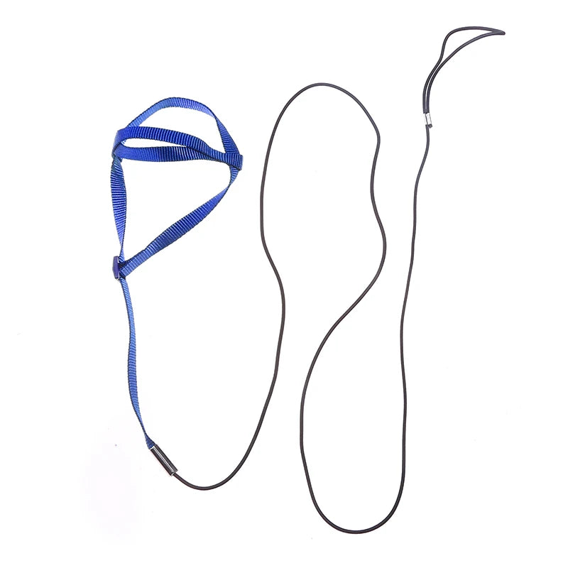 Blue dog leash with a black metal clip on a white background