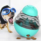 Dog wearing goggles with a teal and silver ball toy on a white background