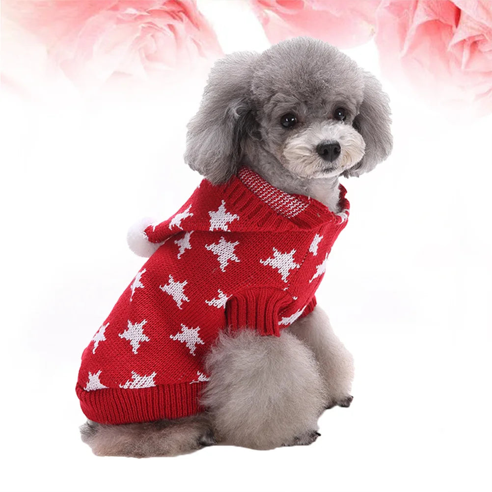 Small dog wearing a red sweater with white patterns on a white background