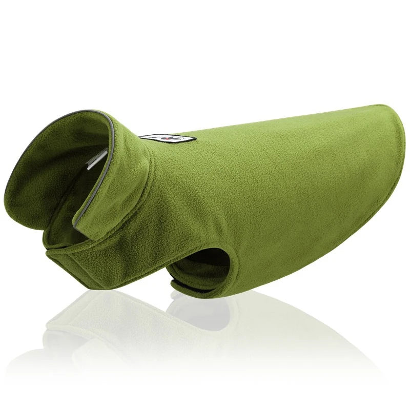 Green dog coat on a white background