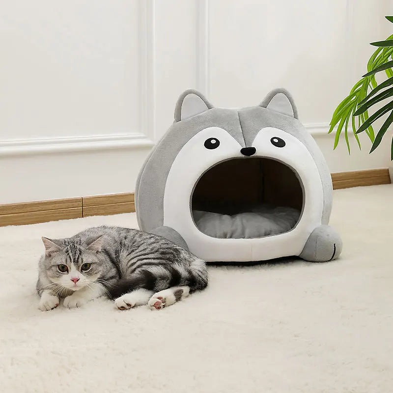 Cat lying next to a gray and white pet bed shaped like a wolf in a room with a plant.