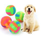 Dog sitting next to colorful rubber balls on a white background