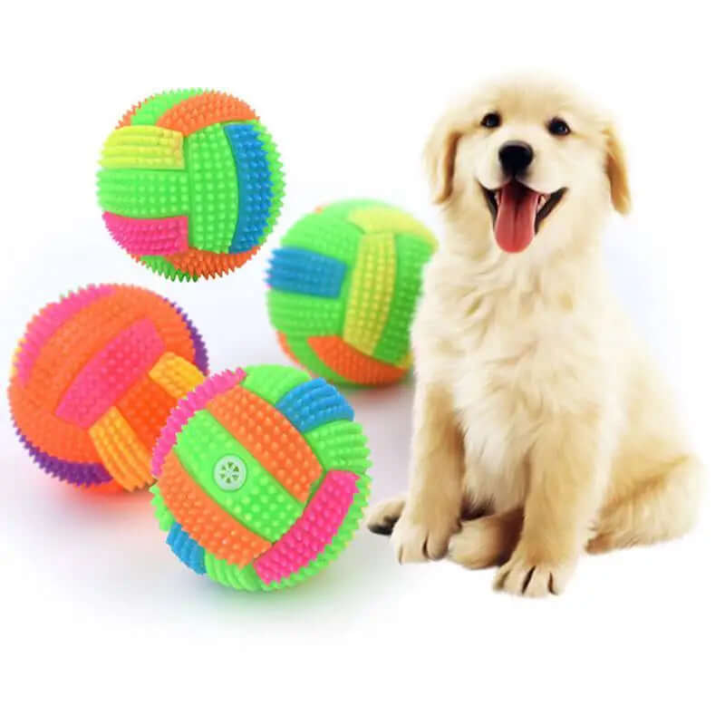 Dog sitting next to colorful rubber balls on a white background