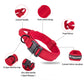Red dog collar with features highlighted on a white background