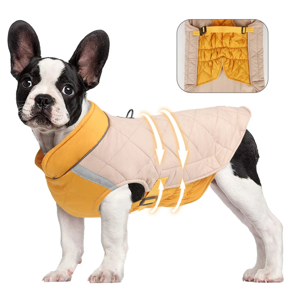 Dog wearing a yellow and beige quilted jacket with a close-up inset of the jacket's interior.
