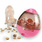 Pink and clear dog toy with food inside, next to a dog eating from a bowl of food.