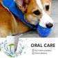 Dog wearing a blue cone collar with a blue ball, accompanied by text about oral care products.