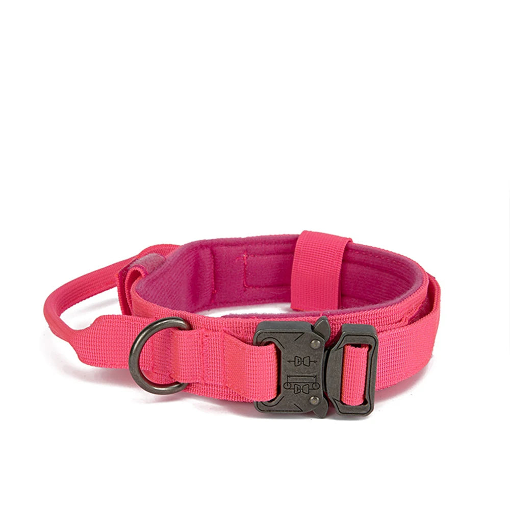 Pink dog collar with a black buckle on a white background