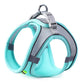 Turquoise and gray dog harness on a white background