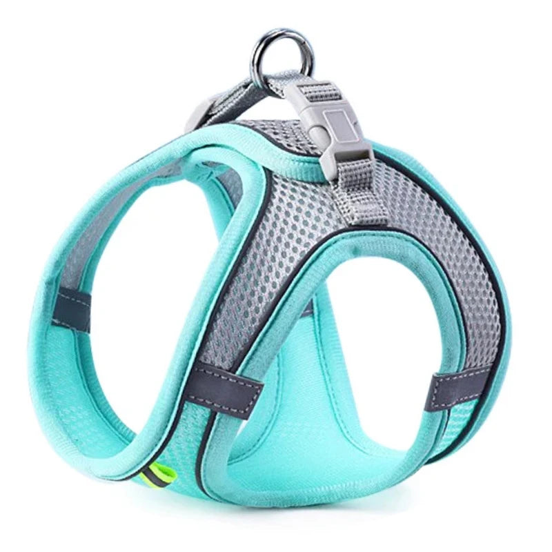 Turquoise and gray dog harness on a white background