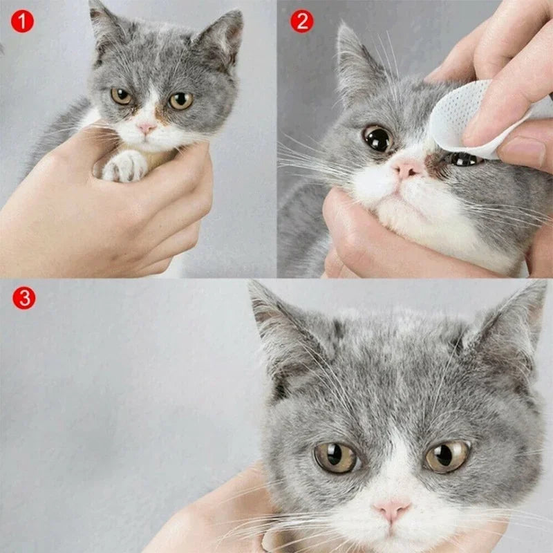 Steps showing a person cleaning a cat's ear with a cotton ball.