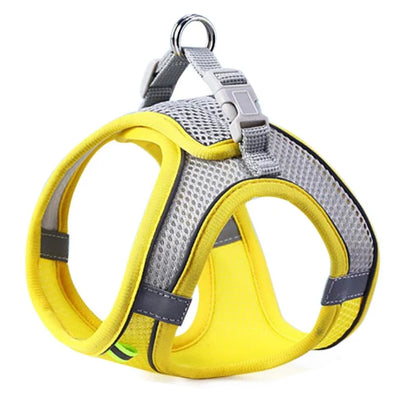 Yellow and gray dog harness on a white background