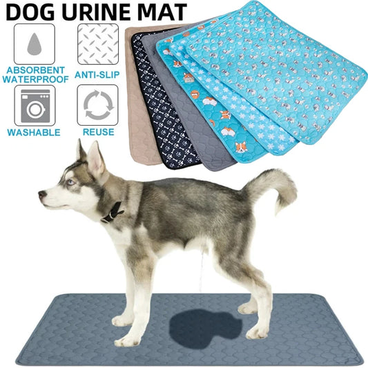 Dog urine mat with a dog standing on it, surrounded by different colored mats.