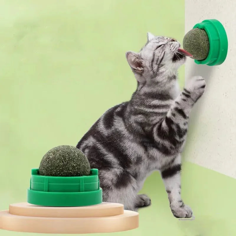 Cat interacting with a green cat toy on a light green background