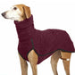 Dog wearing a maroon sweater on a white background