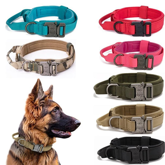 Collection of dog collars in various colors with a German Shepherd wearing a green collar.