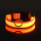 Orange LED dog collar on a black background