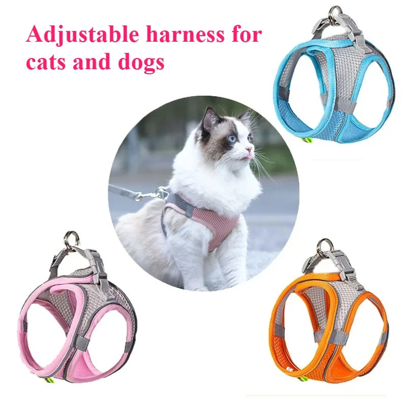 Adjustable harnesses for cats and dogs with a cat wearing a pink harness.