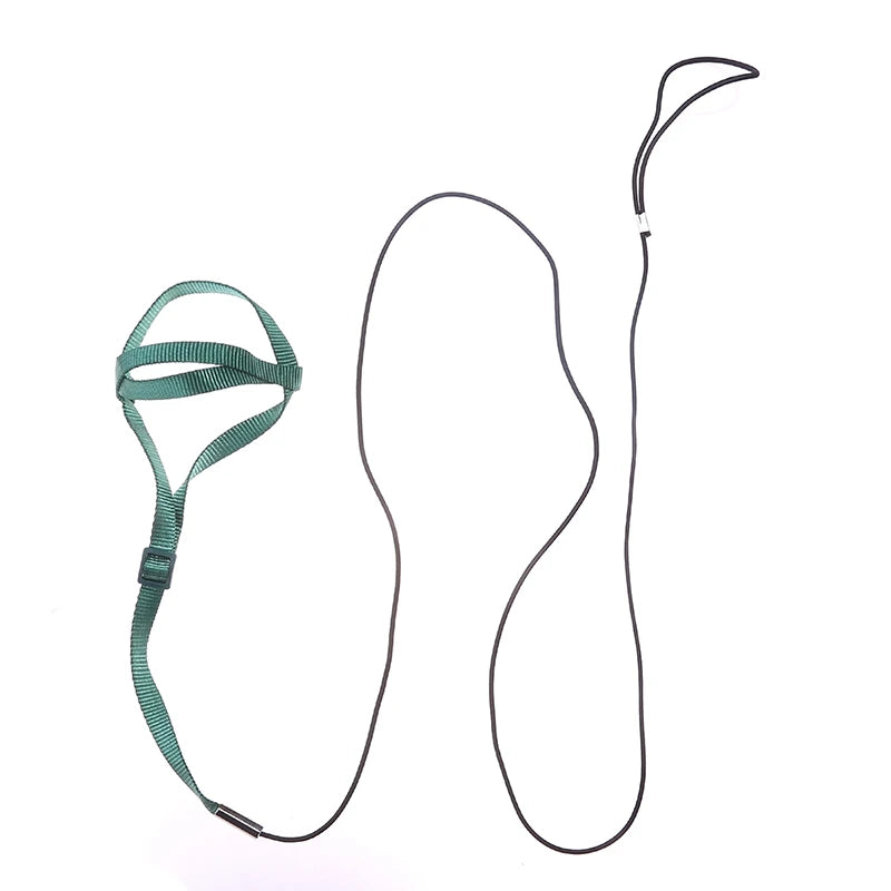 Green dog harness and leash set on a white background