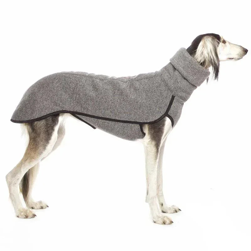 Dog wearing a gray sweater on a white background