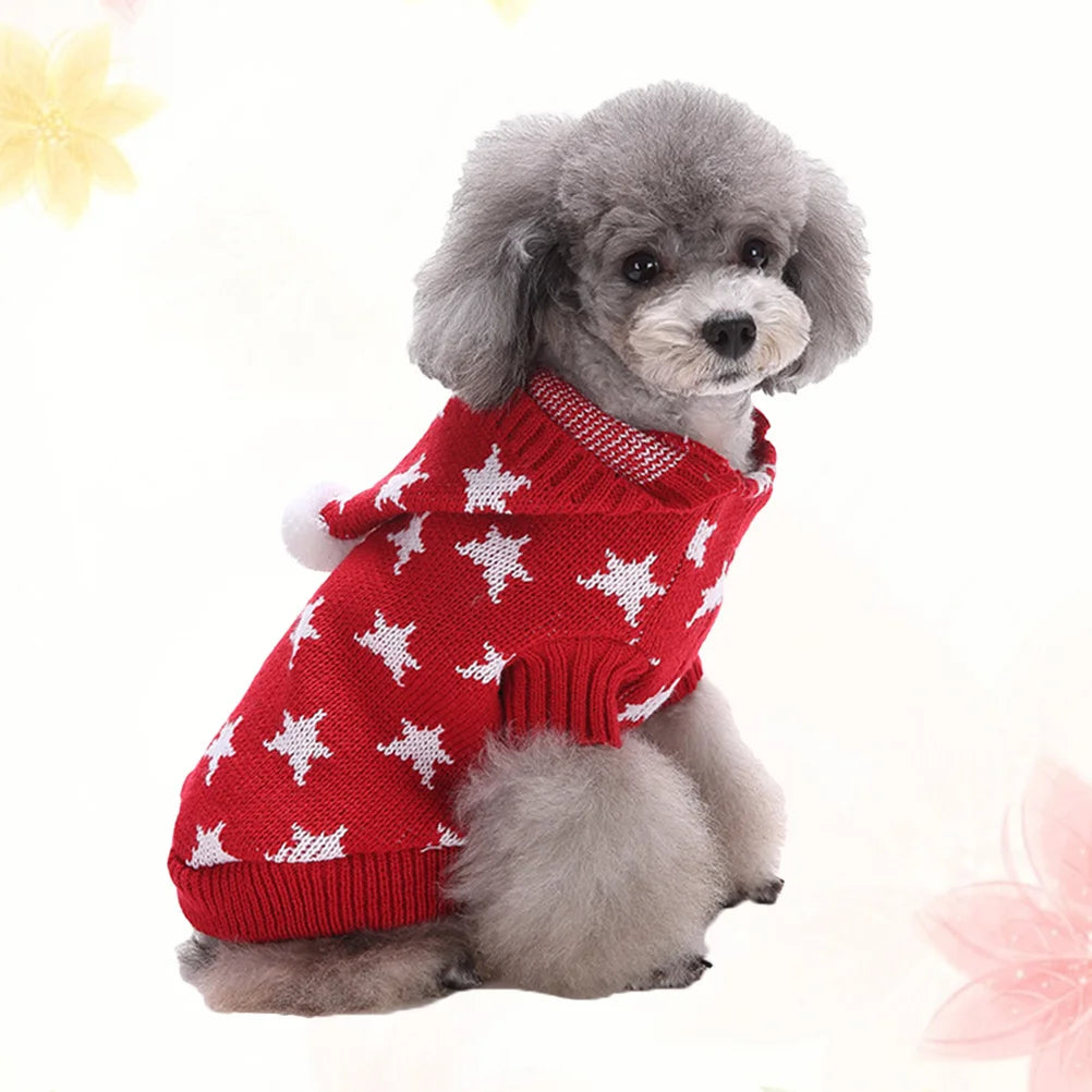 Small dog wearing a red sweater with white patterns on a white background