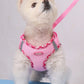 Small white dog wearing a pink harness on a light gray background