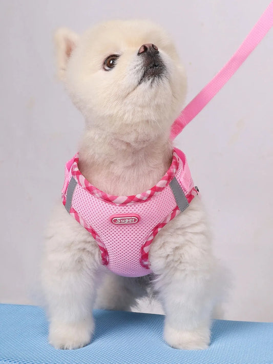 Small white dog wearing a pink harness on a light gray background