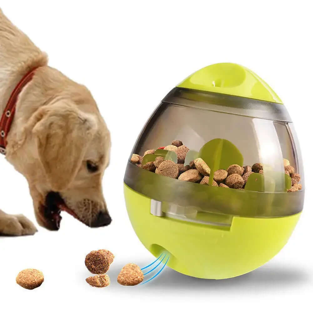Dog - Bowls & Feeding