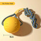 Yellow dog toy with blue and yellow rope on a beige background