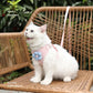 White cat wearing a pink harness with a blue flower on a wicker chair.