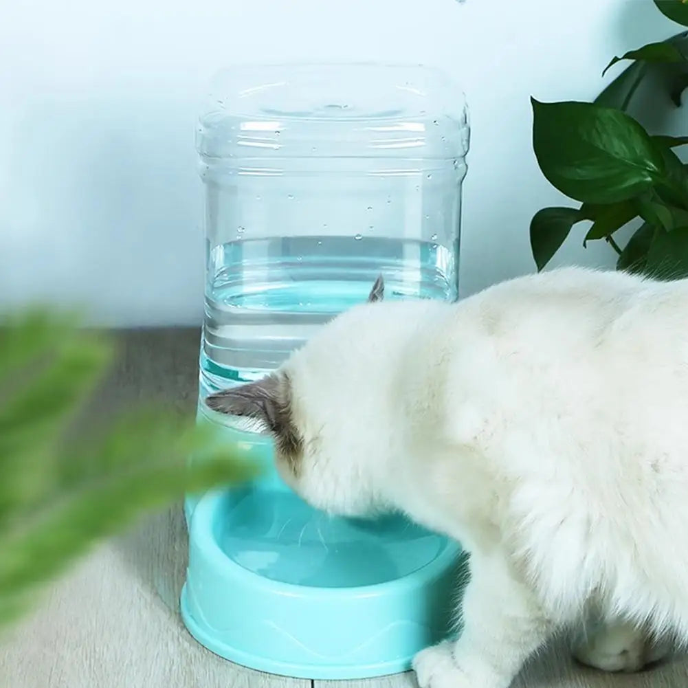 Cat drinking water from a blue bowl next to a clear water dispenser.