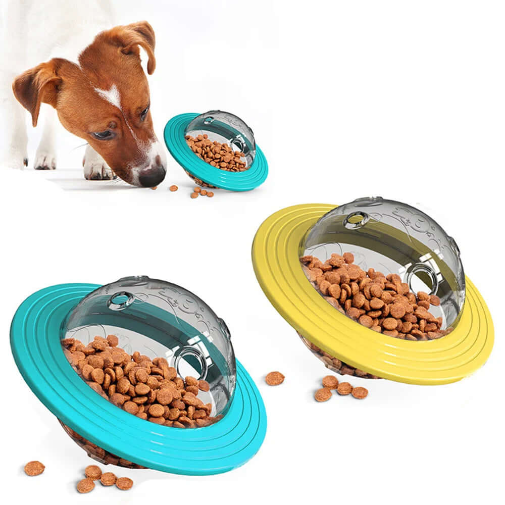 Pet toy with food inside, designed to be chewed on, with a dog looking at it.