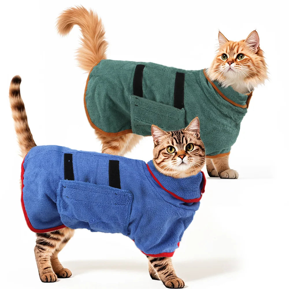 Two cats wearing green and blue sweaters on a white background