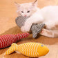 White cat playing with a red and gray striped toy on a wooden floor.