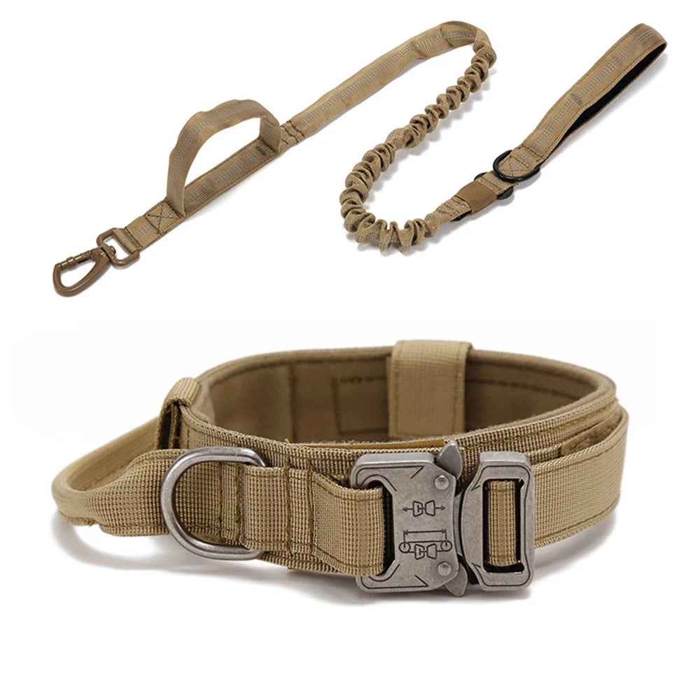 Tan dog collar with metal buckle and bungee leash on a white background