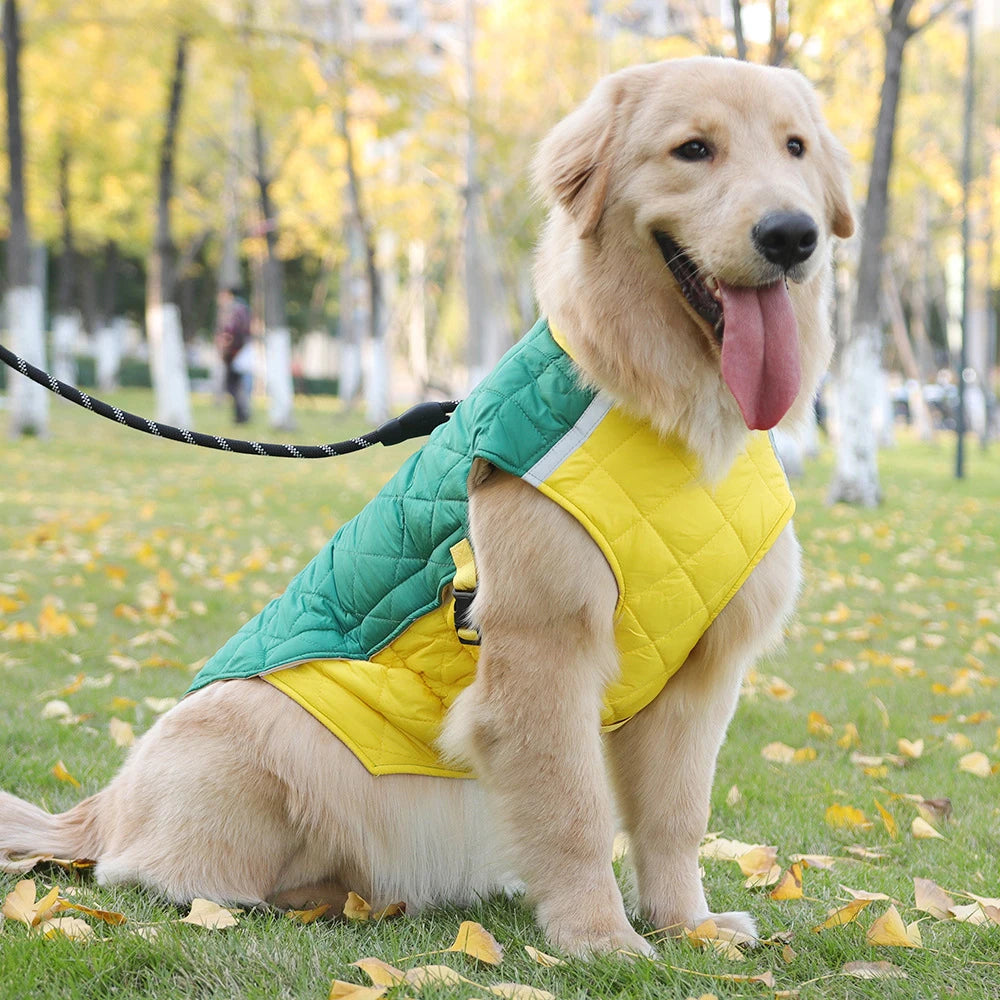 Dog wearing a green and yellow jacket in a park with trees and grass.
